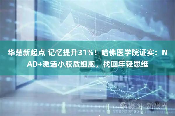 华楚新起点 记忆提升31%！哈佛医学院证实：NAD+激活小胶质细胞，找回年轻思维