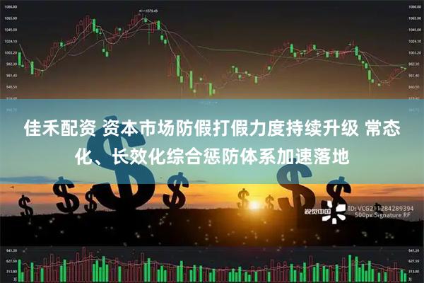 佳禾配资 资本市场防假打假力度持续升级 常态化、长效化综合惩防体系加速落地